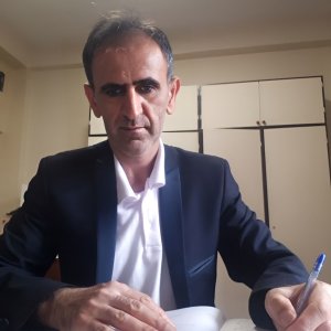 naser kamalpour's picture